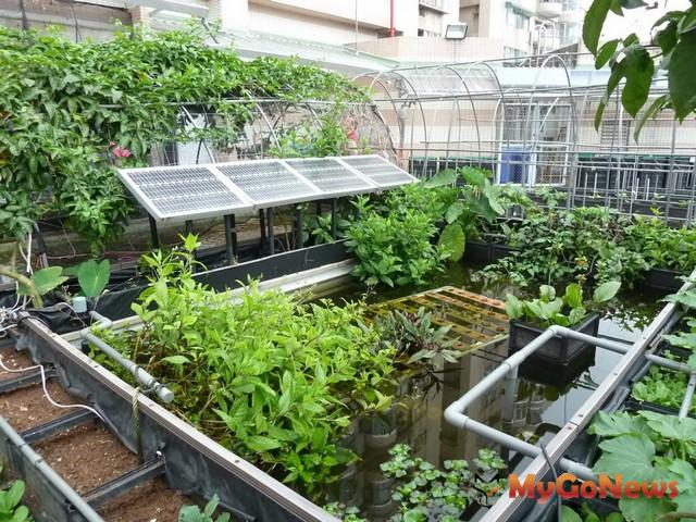 農舍屋頂可以設置太陽光電板嗎？