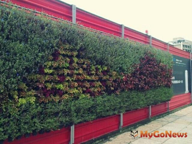 低碳+綠能！新竹市工地圍籬植栽綠美化有成