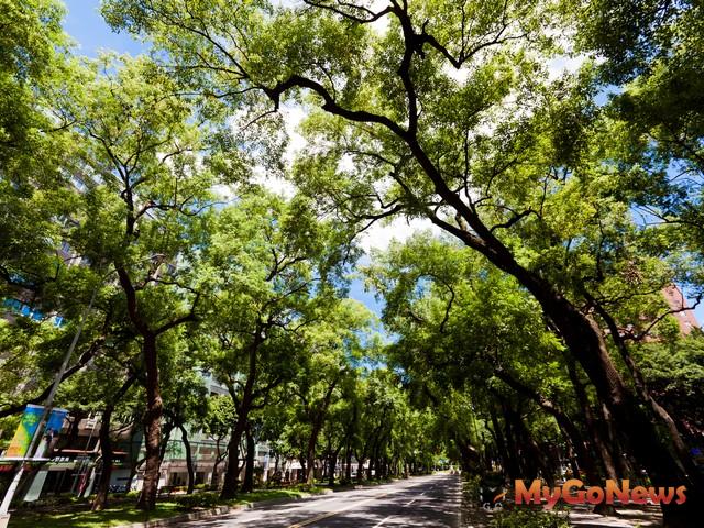 城市綠化！林佳龍推動中市8年百萬棵樹計畫